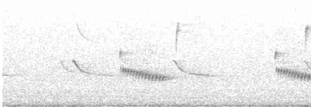 Каролинский крапивник - ML590253201