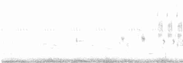 præriesnipe - ML590262361