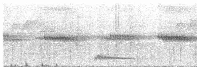 Augennachtschwalbe - ML590266281