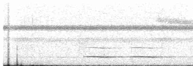 Сичик-горобець крихітний - ML590266351