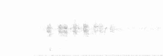 Woodchat Shrike - ML590272391