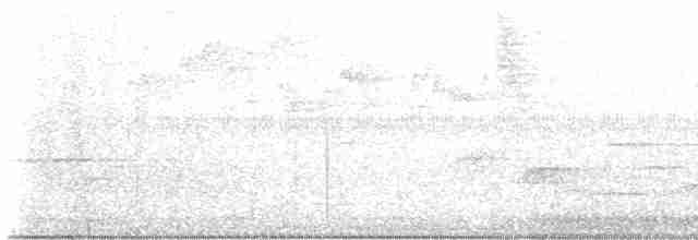 Серогрудый крапивник - ML590276071