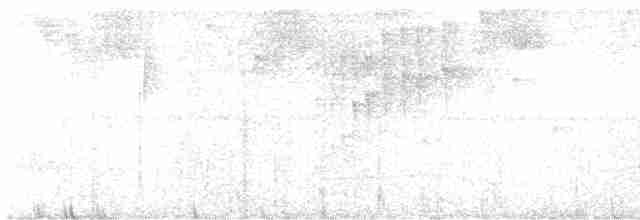Черноухая корольковка - ML590276851