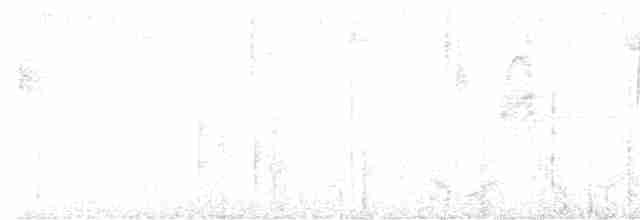 Черноухая корольковка - ML590276891