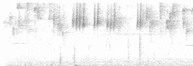 Черноухая корольковка - ML590276901