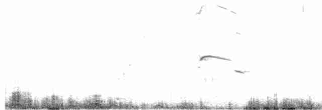 北極鷗 - ML590292181