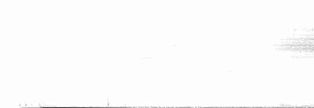 Пестрохвостый семеноед - ML590292831