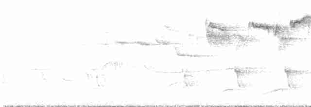 Blackburnian Warbler - ML590325201