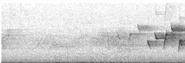 Paruline à gorge grise - ML590336141