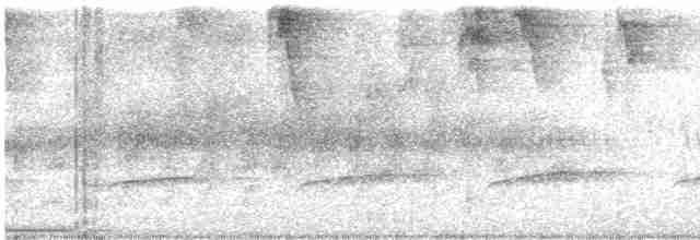 Грімпар бурий (підвид turdina) - ML590351861