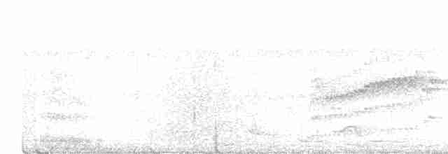 Speckle-breasted Wren - ML590366631