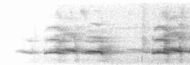 Тукан чорнодзьобий (підвид ariel) - ML590381641