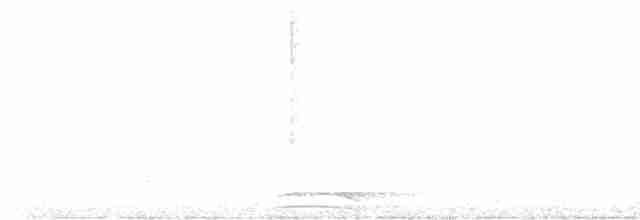 Ошейниковый лесной сокол - ML590384661