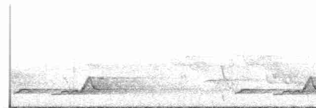 Schwarzkehl-Nachtschwalbe - ML590397371