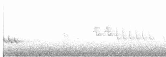 Красногрудый соловей - ML59040931