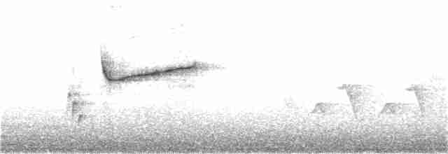 Красногрудый соловей - ML59041071