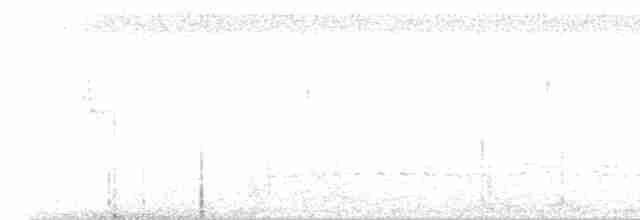 Braunaugenvireo (pusillus) - ML590463621