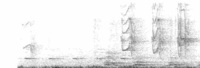 Сичик-горобець магеланський - ML590464891