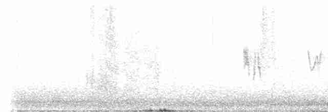 Піві-малюк сірий - ML590487311