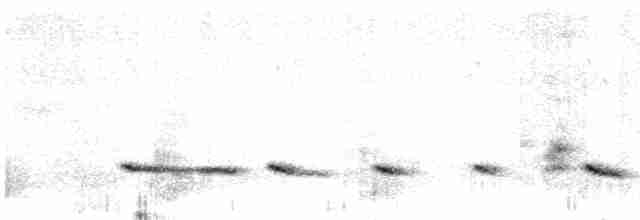 Прерийный кроншнеп - ML590487631