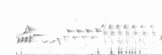 Séricorne timide - ML590551621