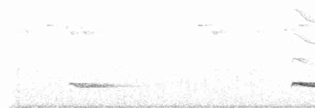 Пестрогрудый зимородок - ML590595841