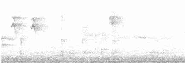 Ласточковый попугайчик - ML590624121