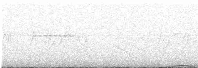 holub kouřový - ML590635371