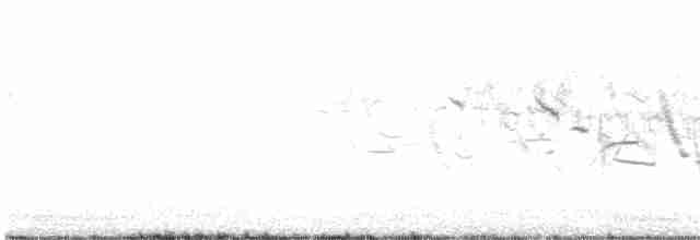 Щеврик прерієвий - ML590637381