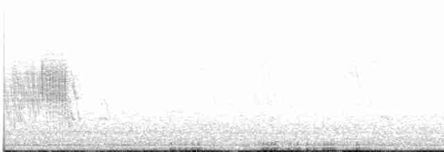 Boz Karınlı Kırlangıç - ML590657081