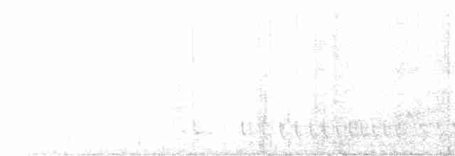Madagaskarnachtschwalbe - ML590658251