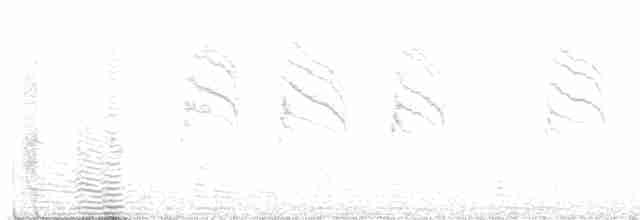 Blaumückenfänger [obscura-Gruppe] - ML590672091