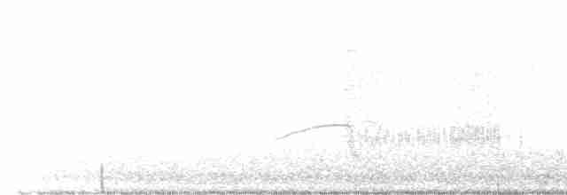 White-tailed Kite - ML590687471