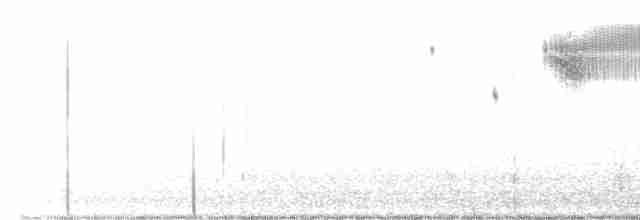 Кузнечиковая овсянка-барсучок - ML590687511