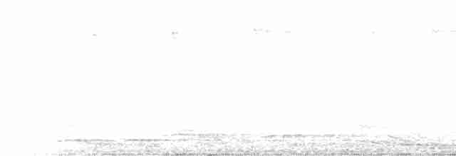 Bülbül Ardıcı [ustulatus grubu] - ML590692261