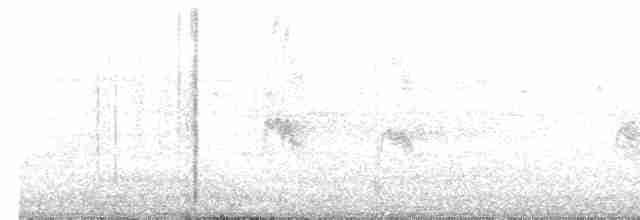 rorýs šedohnědý - ML590700181