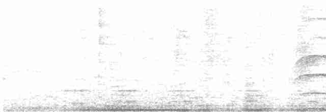 Дроздовый крапивник - ML590721351