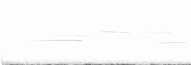 Дрізд-короткодзьоб канадський - ML590763781