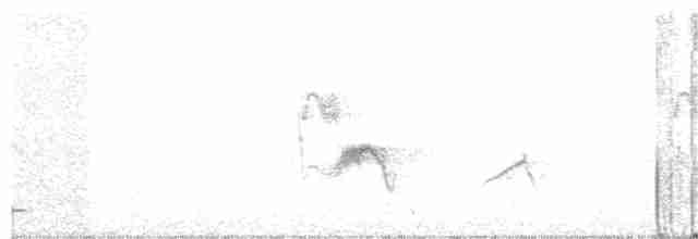 Vireo de Hutton - ML59078571
