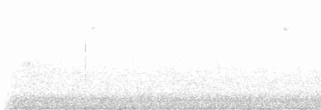 Paruline à calotte noire - ML590787181