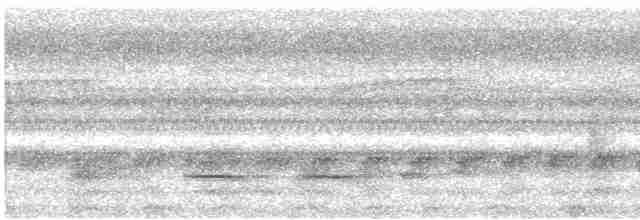 Крючкоклювый зимородок - ML590831561