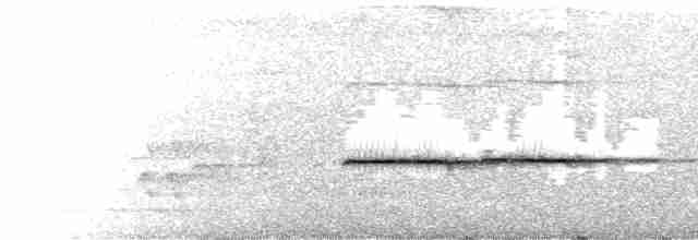Spot-necked Babbler - ML590889671