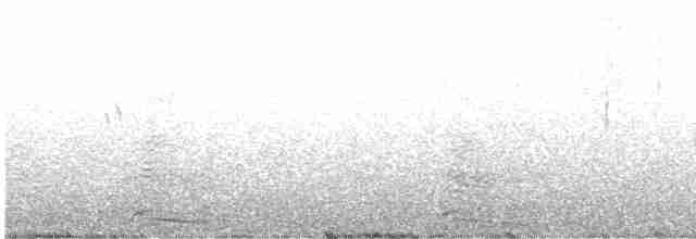 Büyük Kara Sırtlı Martı - ML590925241