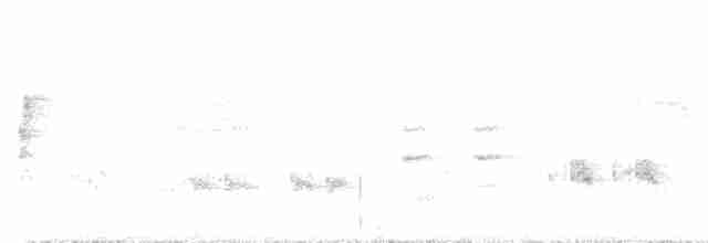 Great Reed Warbler - ML590926171