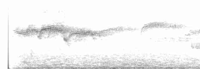 ヨーロッパアマツバメ - ML590927461