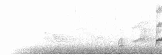 Gri Yanaklı Bülbül Ardıcı - ML59095541