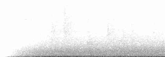 Дрізд-короткодзьоб малий - ML59095811