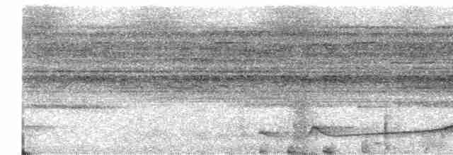 Silky-tailed Nightjar - ML590972091