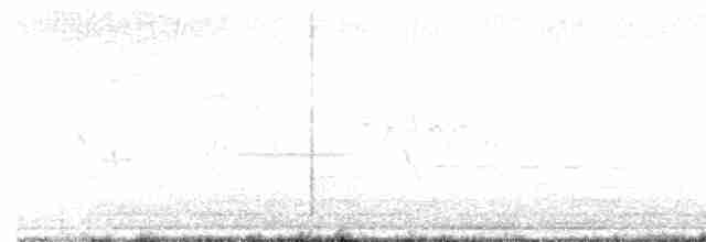 Oriole des vergers - ML590975281