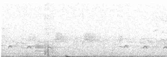 Кустарниковая славка-монашка - ML590986551